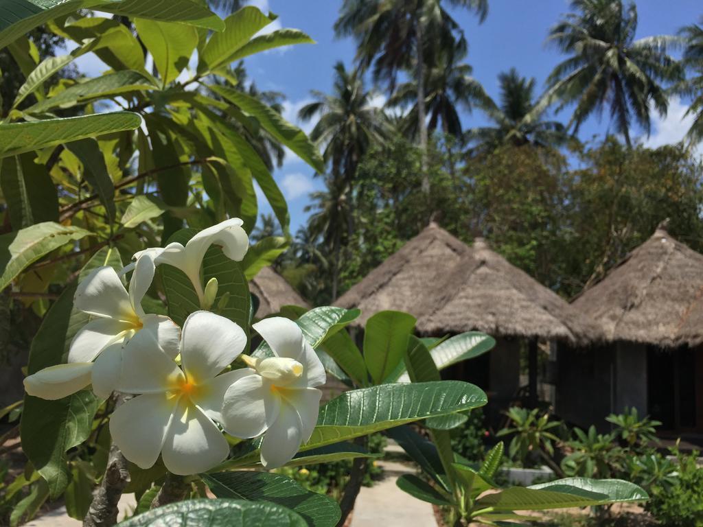 Secret Garden Village Ko Tao Buitenkant foto